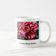 Scarlet Rose Mallow Mug