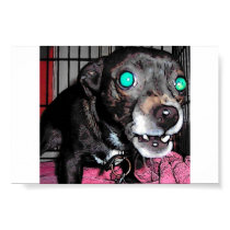 Scary Bailey posters by kburrows Scary Bailey posters
