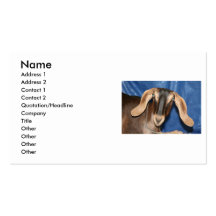 Scary eyed Nubian goat kid head picture Business Card Templates
