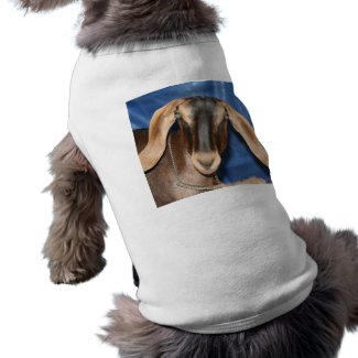 Scary eyed Nubian goat kid head picture petshirt