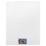 Scary eyed Nubian goat kid head picture Letterhead