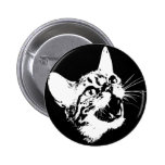 Scary Feral Cat buttons