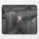 Scary Spider mousepads