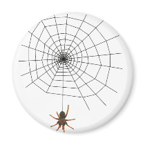 Scary spider web magnets