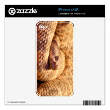 Scary Spotted Rattlesnake iPhone 4S Decals
