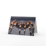 Scary Tarantula spider Greeting Cards