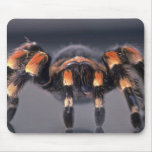 Scary Tarantula spider Mousepads