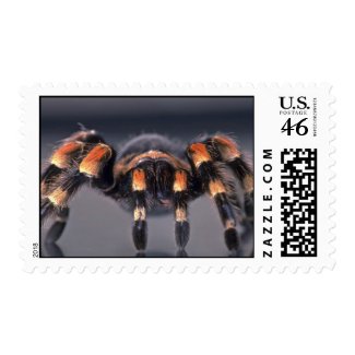 Scary Stamps