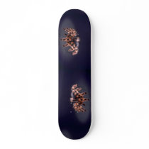 Scary Tarantula spider Custom Skate Board