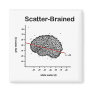 Scatter-Brained Magnet