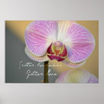 Scatter Kindness Orchid Posters Scatter Kindness Orchid Posters