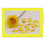 Scattered Petals Note Card