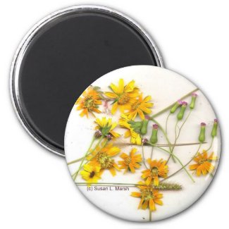 Scattered wildflowers in yellow and white magnet
