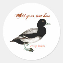 Scaup Duck Round Stickers