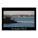Scene from Assateague Island posters