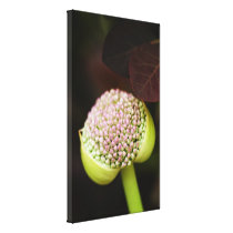 scene pristine stretched canvas print