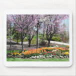 scenery,flowery springtime scenery mouse mat