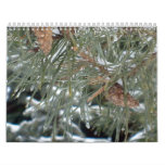 Scenery of Seasons Calendar