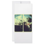 Scenery rack cards