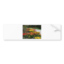 scenery,tulip path bumper stickers