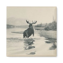 scenery with moose magnet