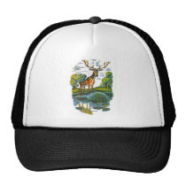 Scenes from Aesop's fables Mesh Hats