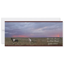 Scenes from New Mexico Announcements