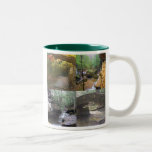 Scenes from Old Man's Cave, Hocking Hills, Ohio mugs