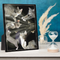 Scenes from the Life of a Happy Cat plaques