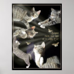 Scenes from the Life of a Happy Cat posters