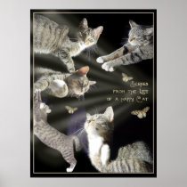 Scenes from the Life of a Happy Cat Poster