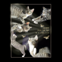 Scenes from the Life of a Happy Cat posters