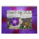 Scenes of 2009 calendar