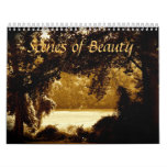Scenes of Beauty Across America