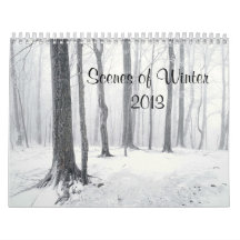Scenes of Winter 2013  Calendar
