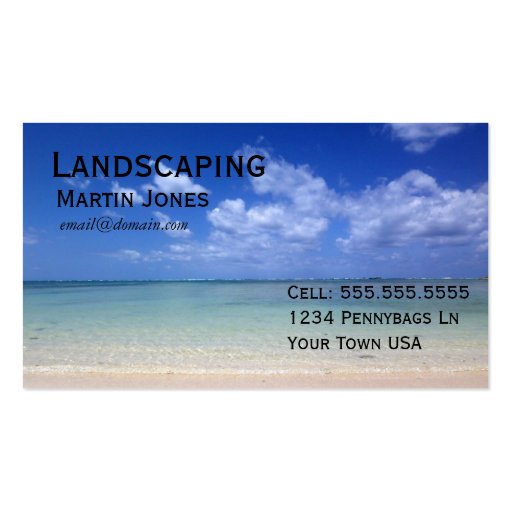 Scenic Business Card