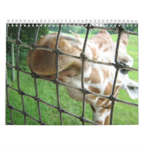 Scenic Calendar
