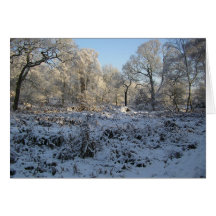 Scenic Christmas Card