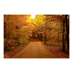 Scenic Drive Poster print
