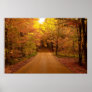 Scenic Drive Poster