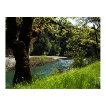 Scenic Eel River posters