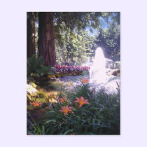 Scenic Garden and Water Fountain postcards