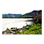 Scenic Newfoundland Canvas Print