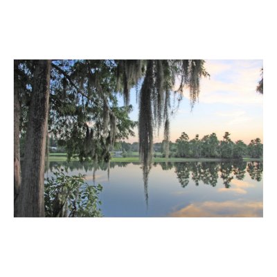 Scenic River Nature Poster by cherylarogers