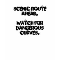 SCENIC ROUTE AHEAD. WATCH FOR DANGEROUS CURVES. t-shirts