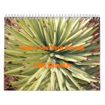 Scenic Southern Nevada 2008 calendars