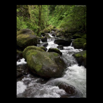 Scenic Stream - Oregon posters