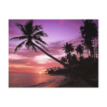 Scenic Sunset postcards