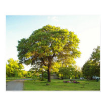 Scenic Trees 2 posters
