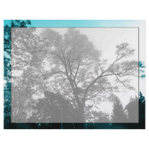 Scenic Trees Letterhead